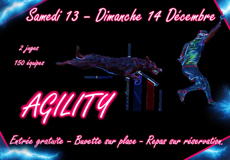 Concours d'Agility